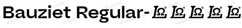Bauziet Regular字体转换